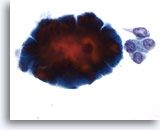 Click to enlarge Image 5