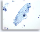 Click to enlarge Image 5