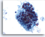 Click to enlarge Image 5