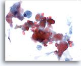 Click to enlarge Image 5