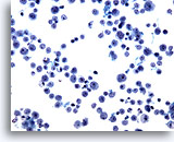 Click to enlarge Image 2