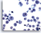 Click to enlarge Image 3