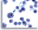 Click to enlarge Image 3