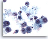 Click to enlarge Image 2