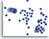 Click to enlarge Image 3