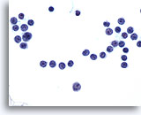 Click to enlarge Image 2