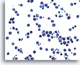 Click to enlarge Image 3