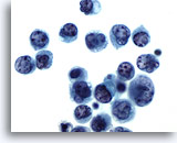 Click to enlarge Image 3