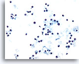 Click to enlarge Image 3