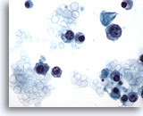 Click to enlarge Image 3