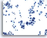 Click to enlarge Image 2