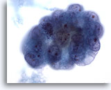 Click to enlarge Image 3