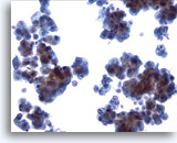 Click to enlarge Image 2