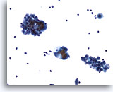 Click to enlarge Image 3