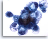 Click to enlarge Image 3