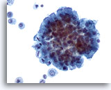 Click to enlarge Image 3