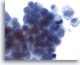 Click to enlarge Image 3