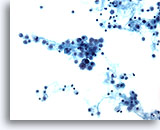 Click to enlarge Image 2