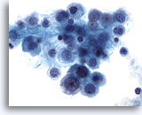 Click to enlarge Image 3