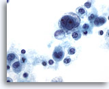 Click to enlarge Image 3