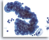 Click to enlarge Image 3