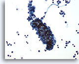 Click to enlarge Image 3