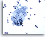 Click to enlarge Image 3