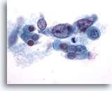 Click to enlarge Image 3