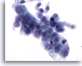 Click to enlarge Image 3