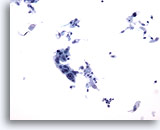 Click to enlarge Image 3