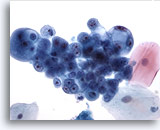 Click to enlarge Image 3