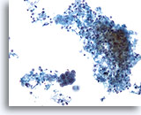 Click to enlarge Image 2