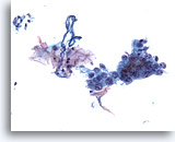 Click to enlarge Image 2