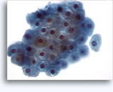 Click to enlarge Image 2