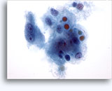 Click to enlarge Image 2