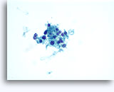 Click to enlarge Image 3