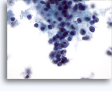 Click to enlarge Image 2