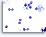 Click to enlarge Image 2