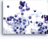 Click to enlarge Image 3